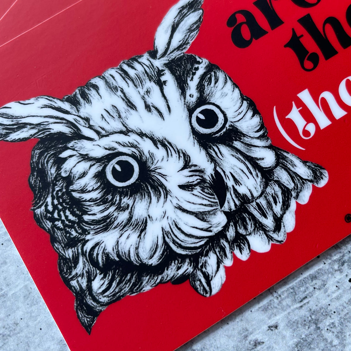 The owls are not what they seem they're fucking blitzed Bumper
