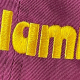 Salami Dad Hat