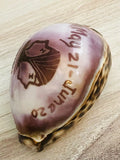 Vintage Cowrie Zodiac Shell Gemini
