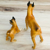 Vintage Bone China Boxer Dog Duo