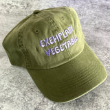 Exemplary Vegetable Dad Hat