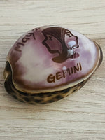 Vintage Cowrie Zodiac Shell Gemini