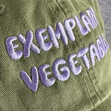 Exemplary Vegetable Dad Hat