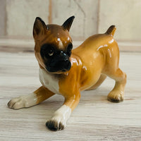 Vintage Bone China Boxer Dog Duo