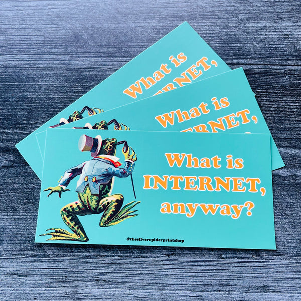 What is Internet, anyway? Bumper Sticker