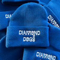Diamond Dogs Royal Blue Beanie // made in the USA