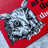 The owls are not what they seem they’re fucking  blitzed Bumper Sticker