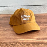 Chicken Wings Bleu Cheese Dad Hat